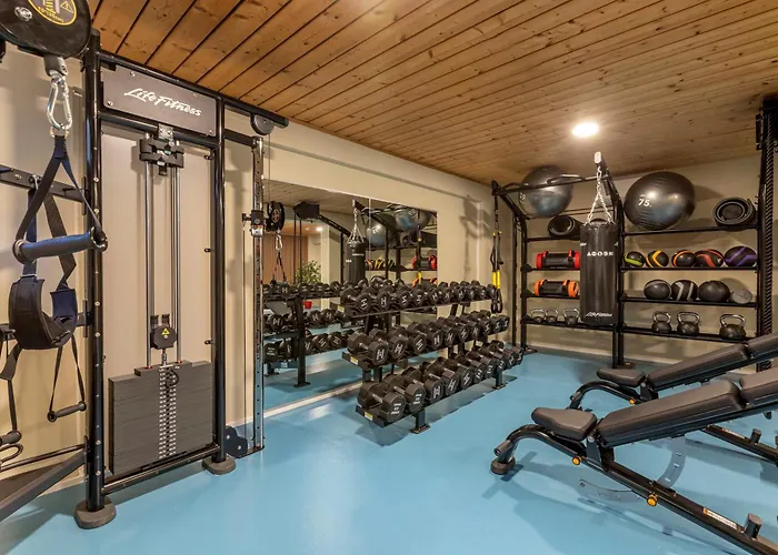 公寓式酒店 Alpine Club 4*